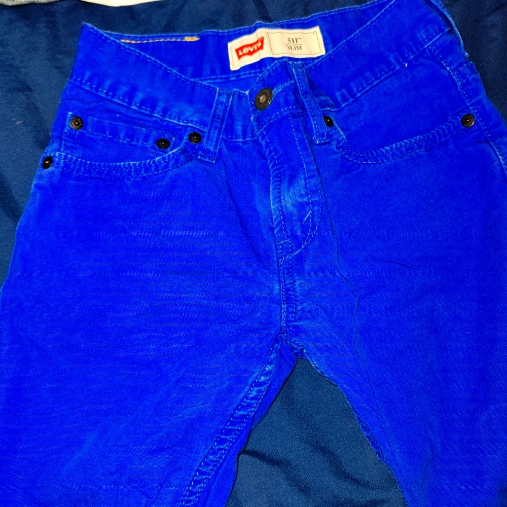 Popping Blue Skinny Levi 511 Sz 10 pants